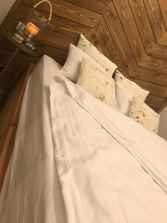 Apartamenty Ermitage زاكوباني المظهر الخارجي الصورة
